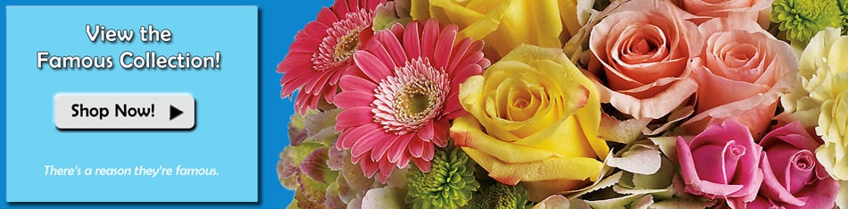 Beautiful Seasonal Flowers Banner